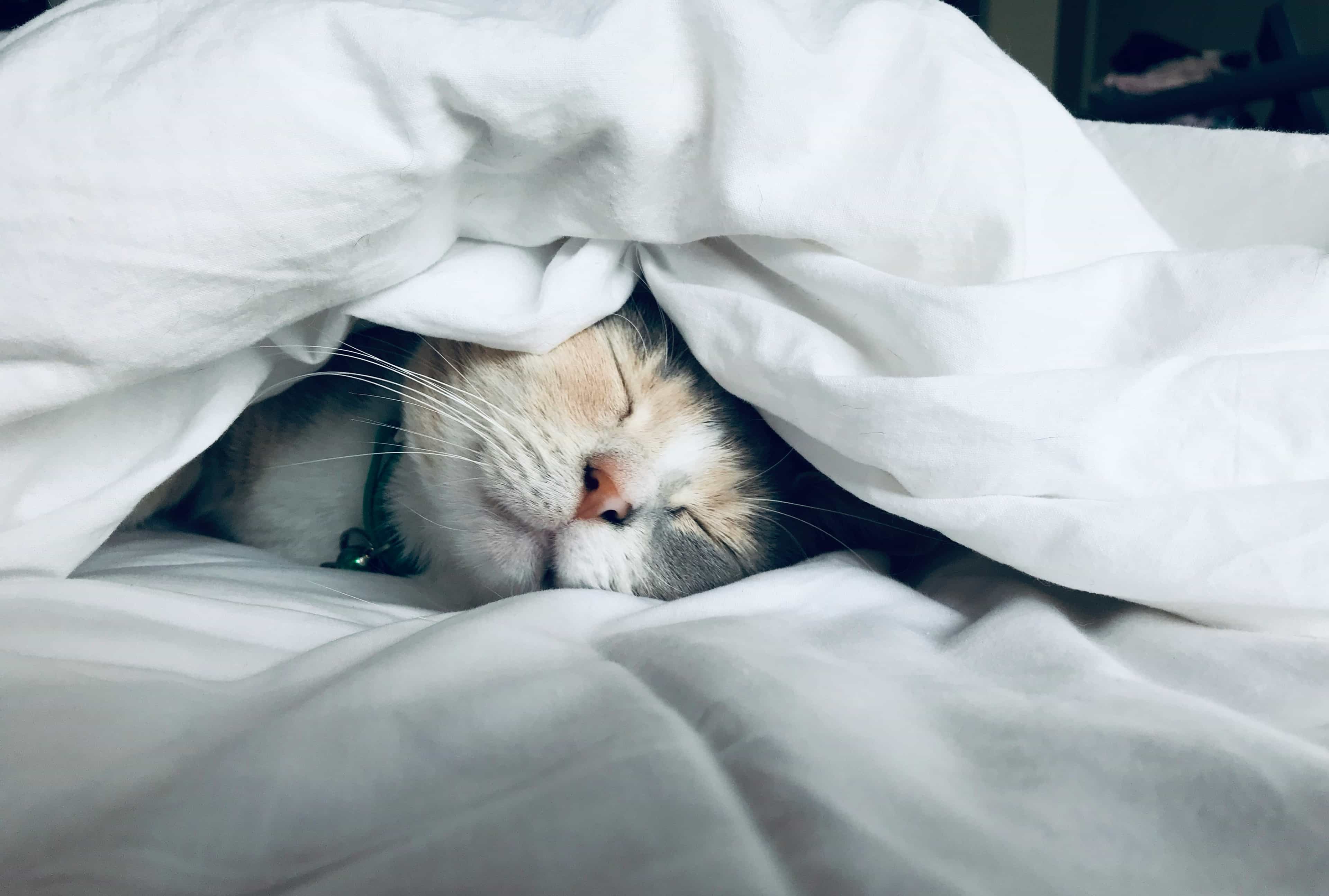 Sleep quality