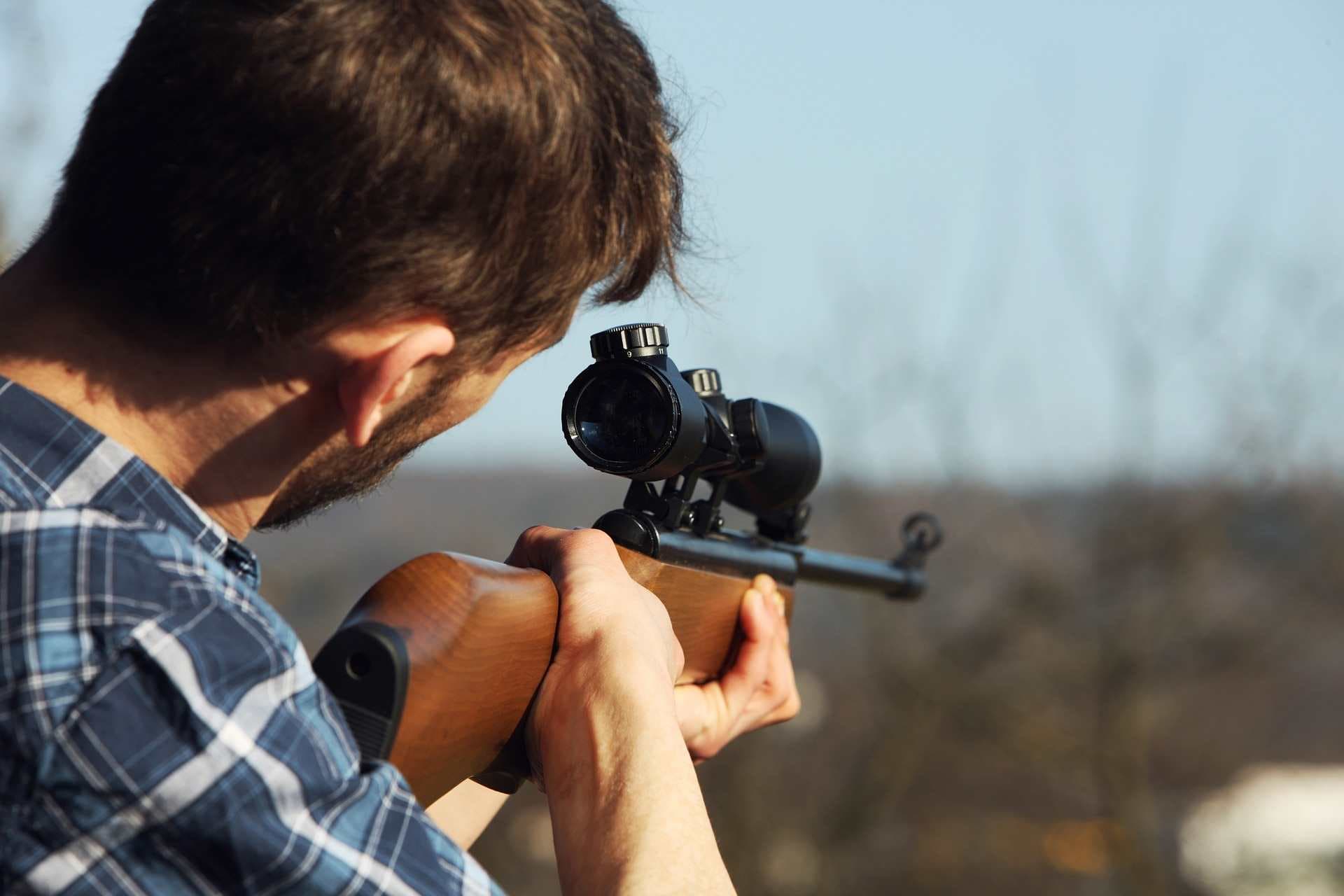 Gatherers vs. hunters