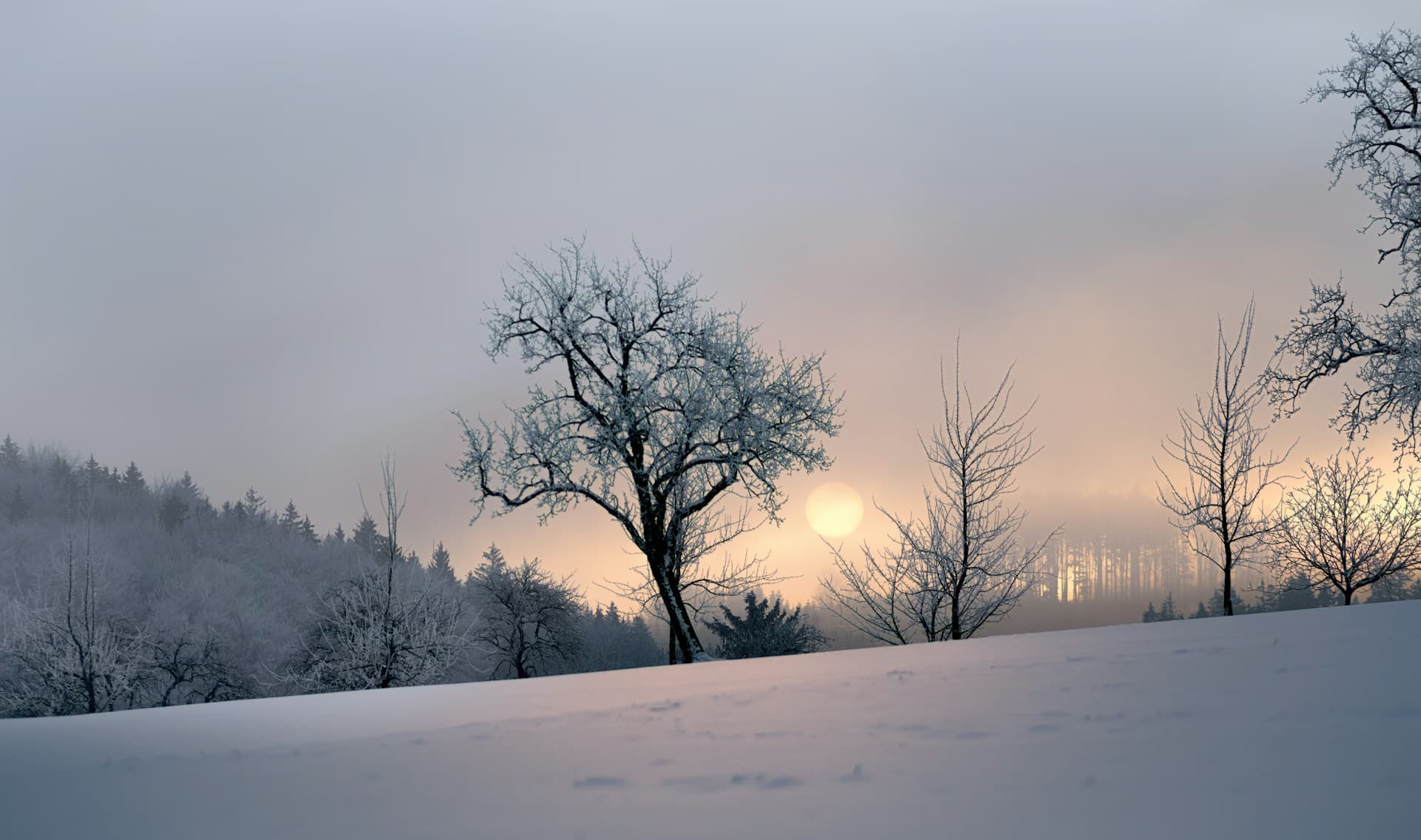 Thermogenesis